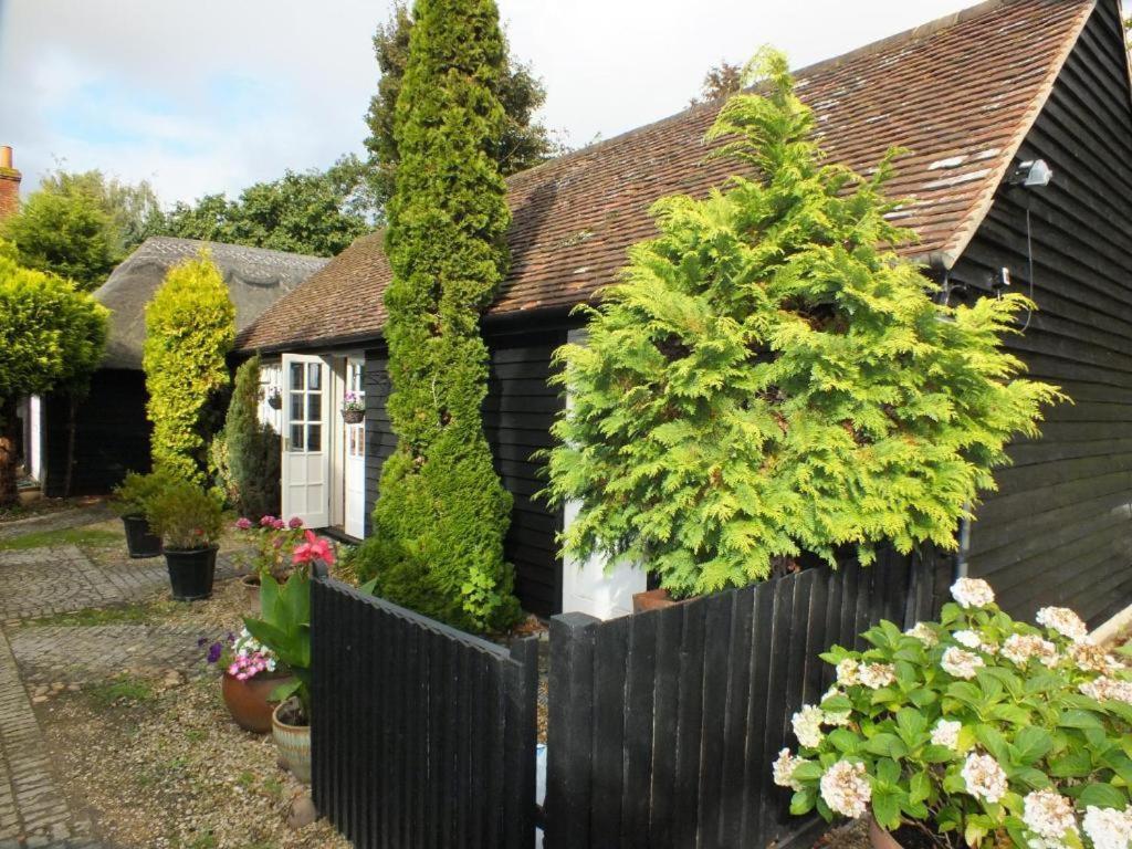Bed and Breakfast Abingplough House Abingdon-on-Thames Esterno foto